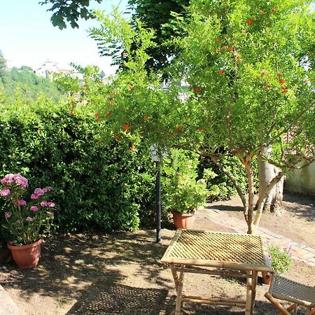 Le Coste Bed & Breakfast Veroli ภายนอก รูปภาพ